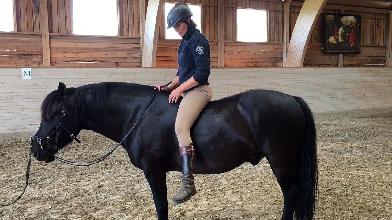 Body movements bareback