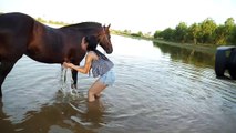 Fantastic! Village Girl Cleaning the Black Horse And Care How to wash Horse in Small park