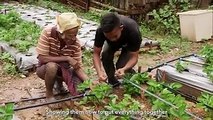 Are you a young Timorese seeking for ideas on how to become involved in the agricultural development or start up a business in the agriculture sector? Watch the