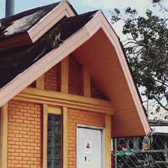 Monkeys jumping into a pool