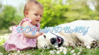 INTRODUCING DOGS TO NEWBORN BABY FOR THE FIRST TIME  Dog loves Baby Compilation