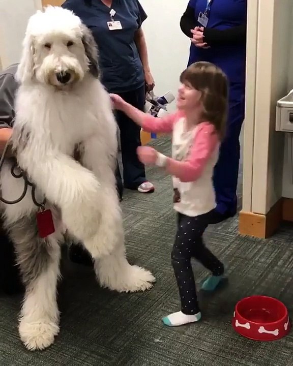Zammy the giant gets a massive hug