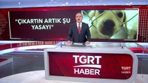 Cumhurbaşkanı Erdoğan'dan Hayvan Hakları Talimatı