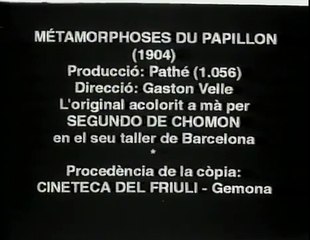 A Butterfly's Metamorphosis. La métamorphose du papillon. 1904