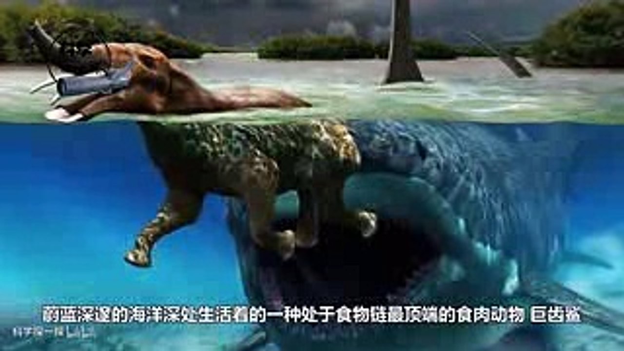 巨齿鲨真能号称海洋王者？科学家：那是它命好，没遇到这两个！