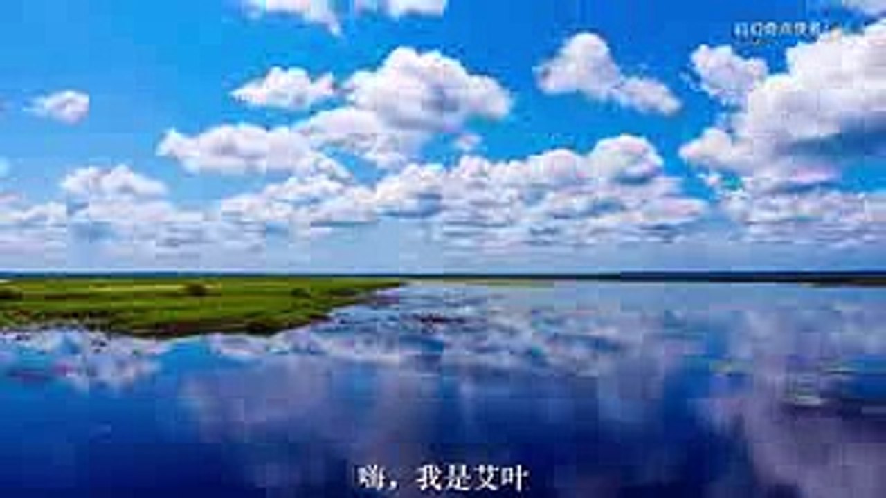 史前极为低调的两种怪物，巨齿鲨曾称霸海洋，但遇到它俩也会怕