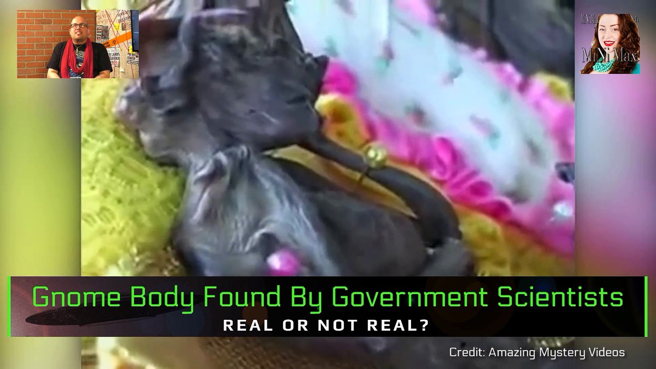 [Explore paranormal] - Do Magical Gnomes And Trolls Live Among Us/weird noises are heard inside of an old tree