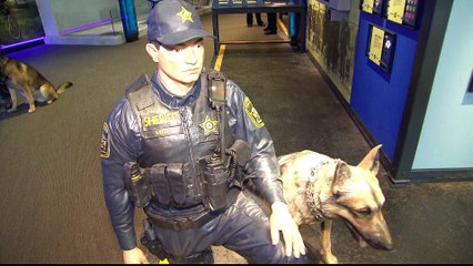 New museum in US tackles racist heritage of law enforcement