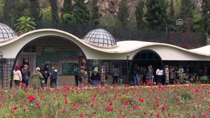 Kadın muhtarlar buluştu - BİLECİK