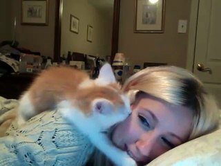 Kitten giving kisses