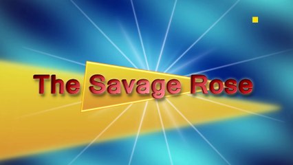 THE SAVAGE ROSE - I'm Walking Through The Door (1968)