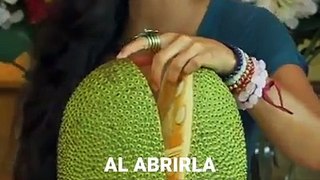 La Jaca es la fruta de árbol más grande que existe en el mundo y cuesta creer que su interior tenga tanto sabor a carne. ¿Logras imaginar cómo es?  