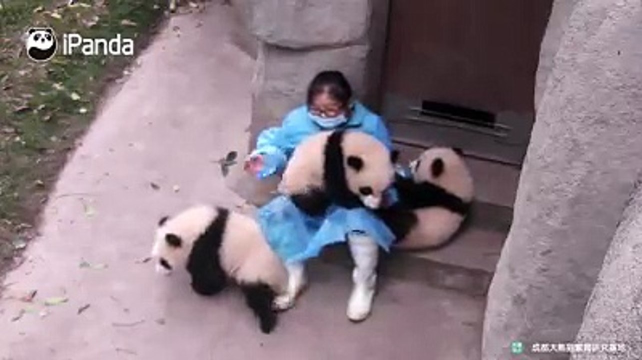 How to punish an acting up child? Nanny Mei’s answer is spanking!#HiPanda