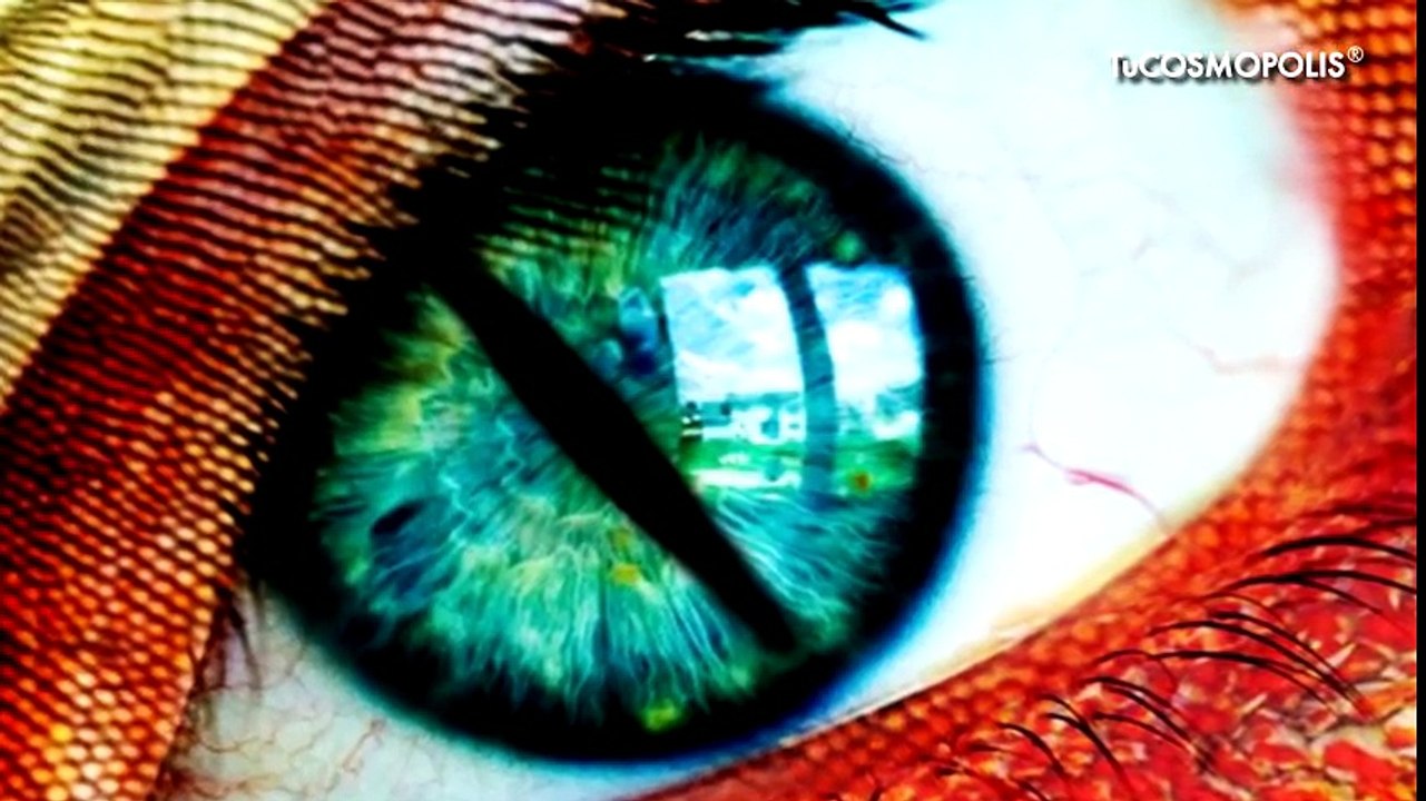 ESTOS son los REPTILIANOS que PROVOCARON la CAÍDA de YOUTUBE