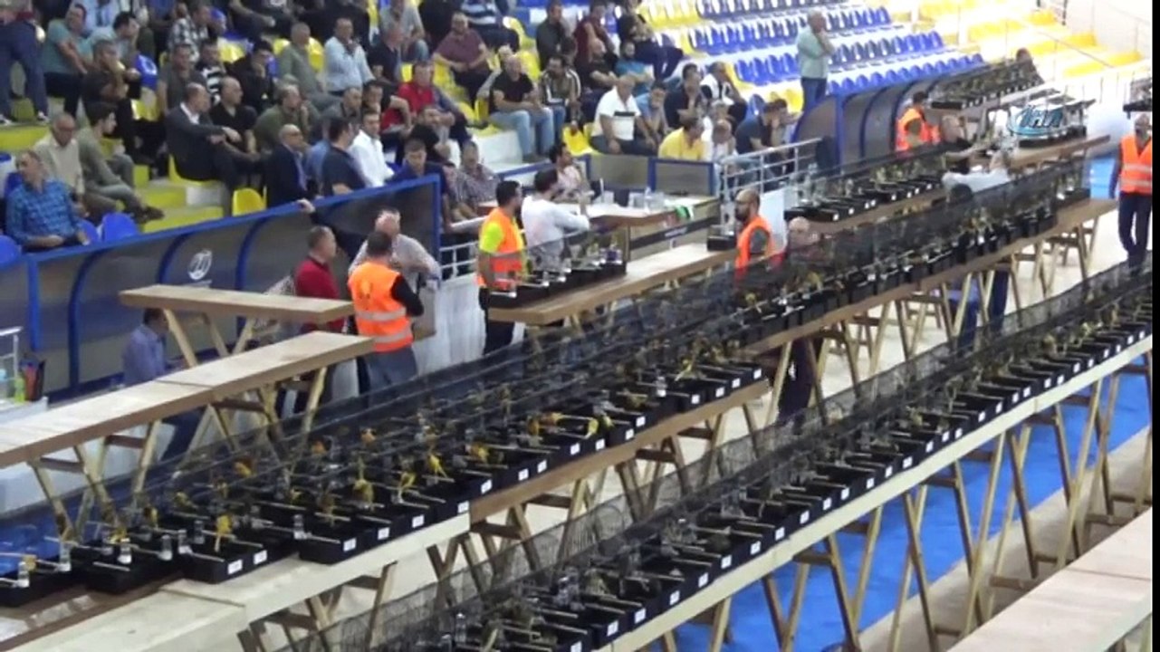 Dünyanın En Büyük Kanarya Yarışması Edremit’te Başladı