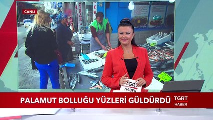 Palamut Bolluğu Yüzleri Güldürdü