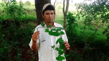 Marcos Aurelio de Guarei e a URTIGA