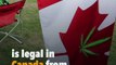Canada Legalizes Recreational Weed