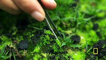 Year Million S01 E05