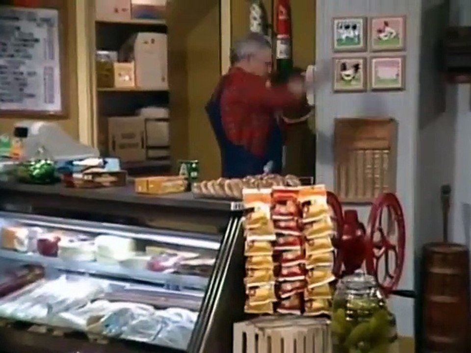 The Facts of Life S5 E10