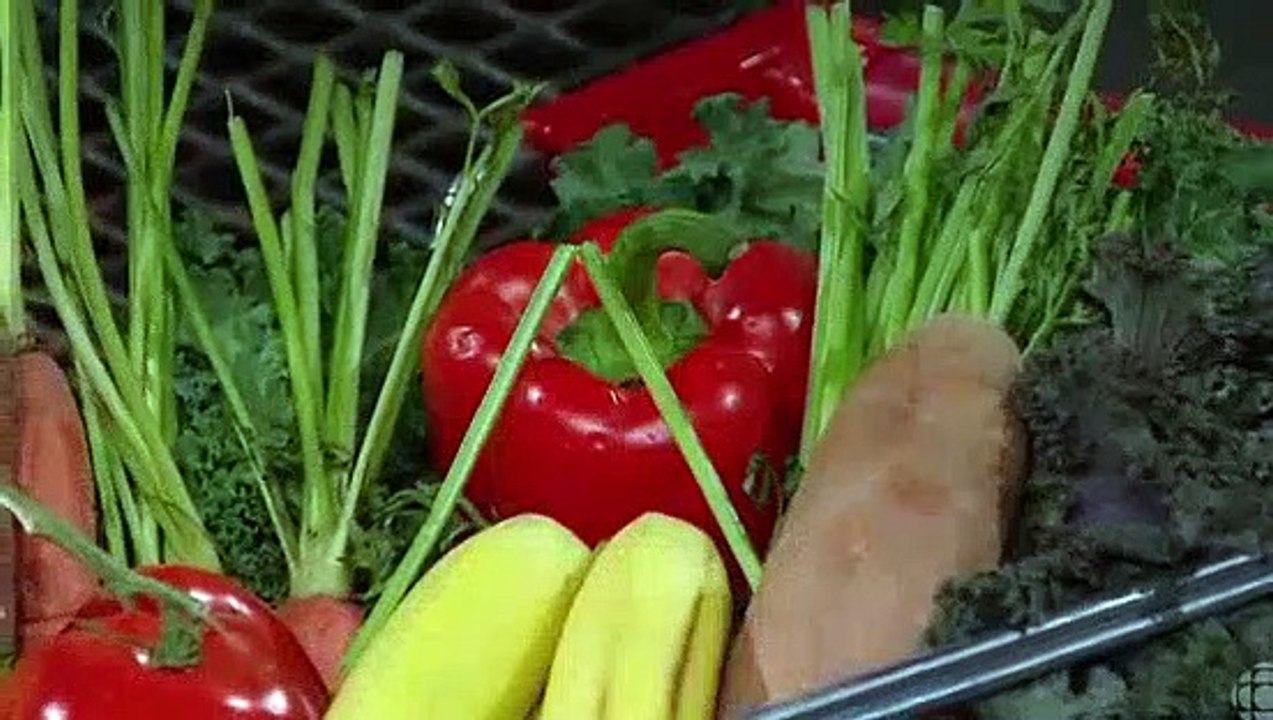 Dragons Den CA S11E15