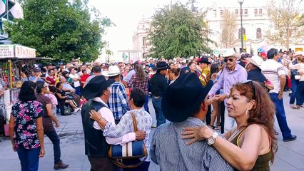 Bravo Jenny   asi se baila