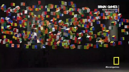 Brain Games S04E03 Language