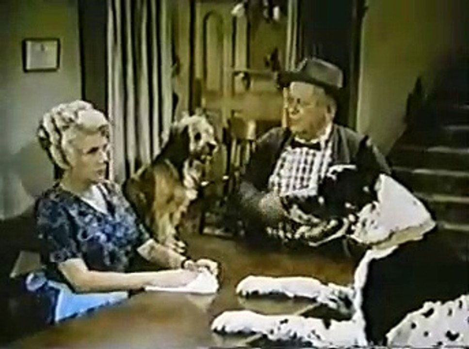 Petticoat Junction S4 E16 His Highness the Dog video Dailymotion