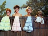 Petticoat Junction S3 E12 - The Crowded Wedding Ring