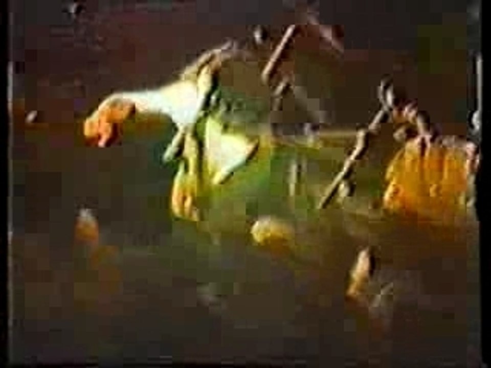 Black Flag - Live Last Show Detroit 1986