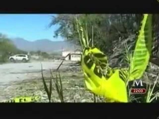 Identifican a 14 de Kombo Kolombia; aún se desconoce el motivo de su asesinato