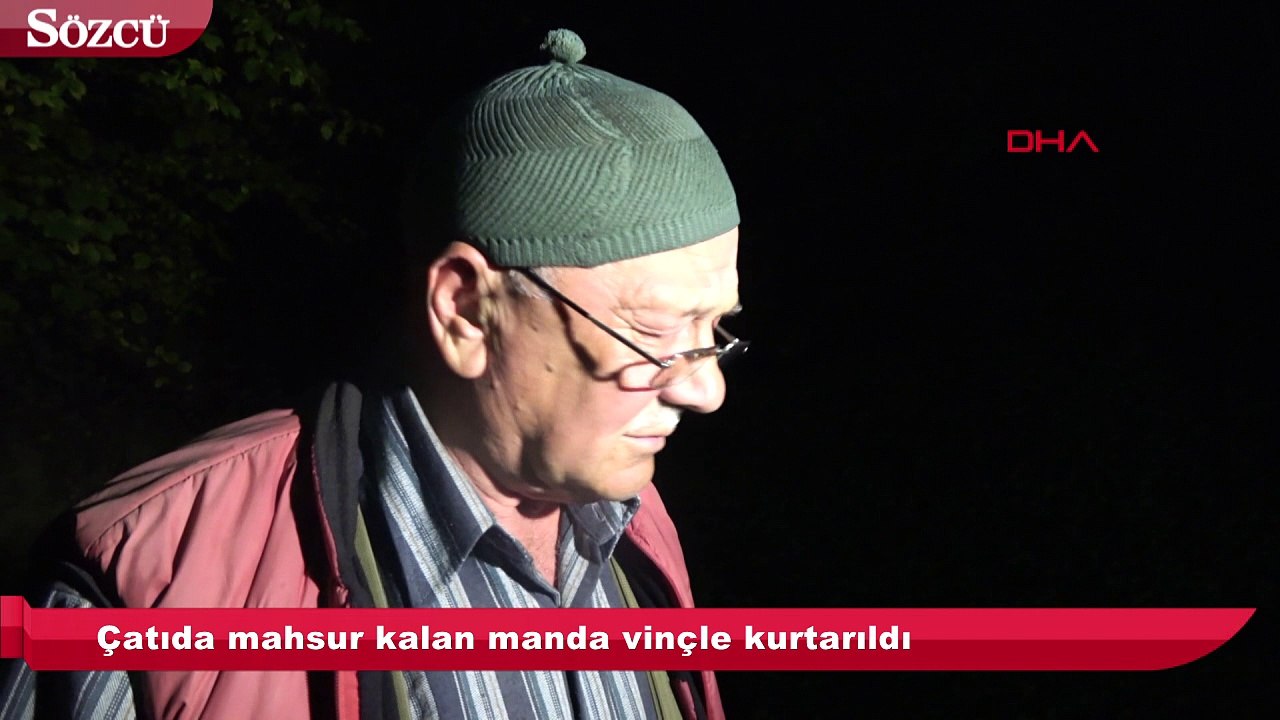 Çatıda mahsur kalan manda vinçle kurtarıldı