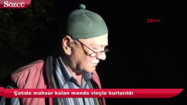 Çatıda mahsur kalan manda vinçle kurtarıldı