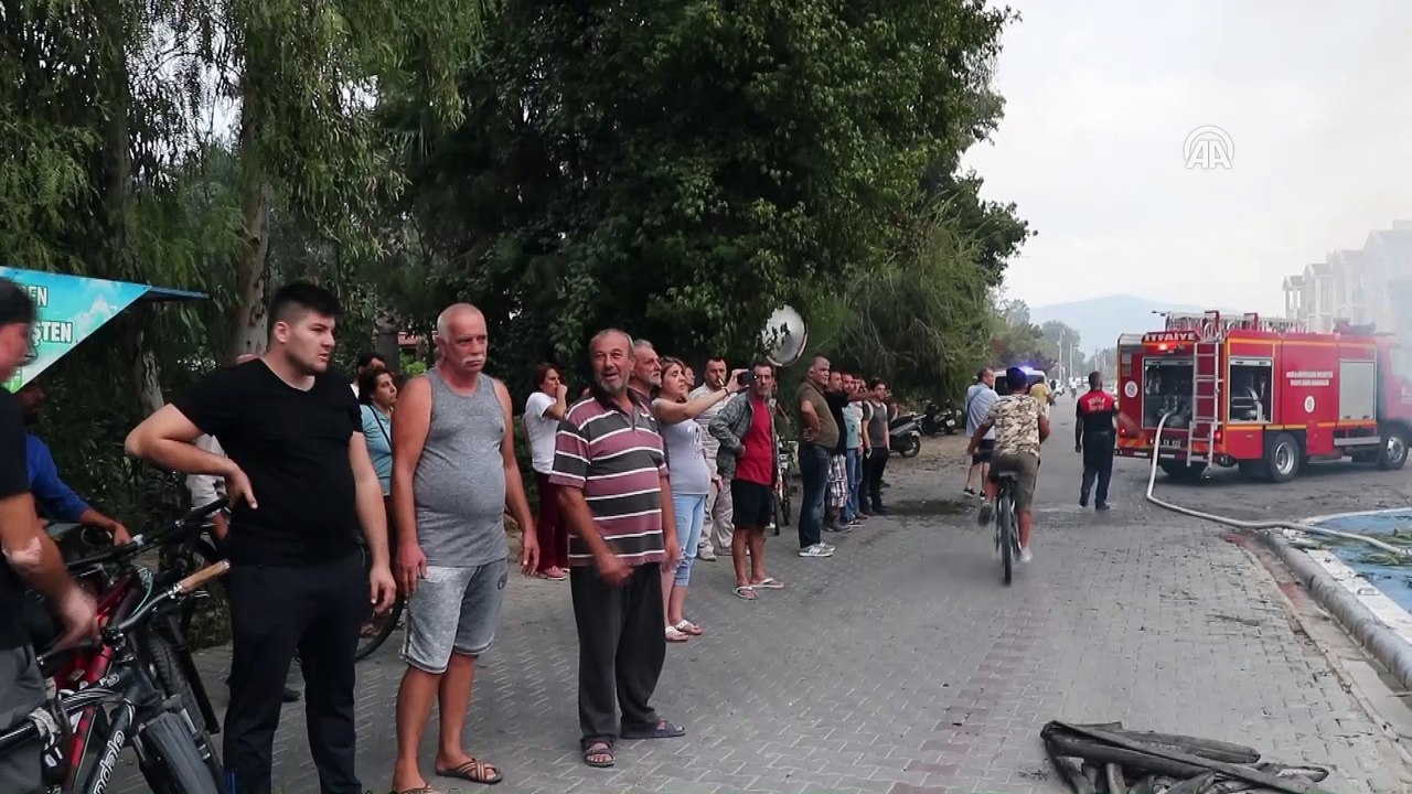 Muğla'da sazlık alanda yangın