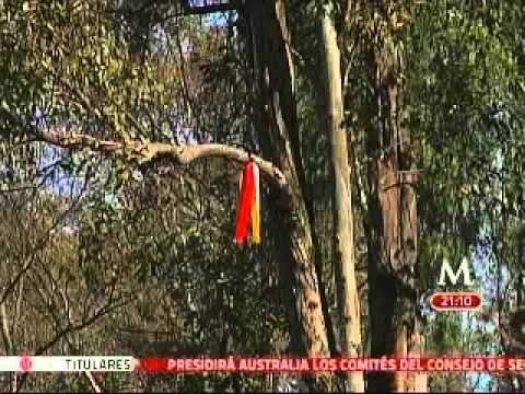 Cuerpos encontrados en Cerro de la Estrella no fueron devorados por perros: vecinos