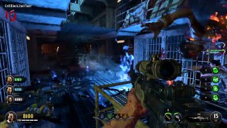 BLACK OPS 4 ZOMBIES except Wildcat knows everything 
