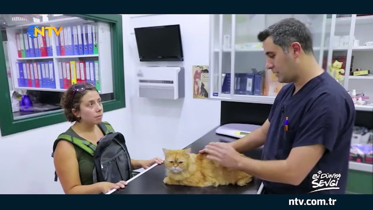 Bi Dünya Sevgi 20 Ekim 2018