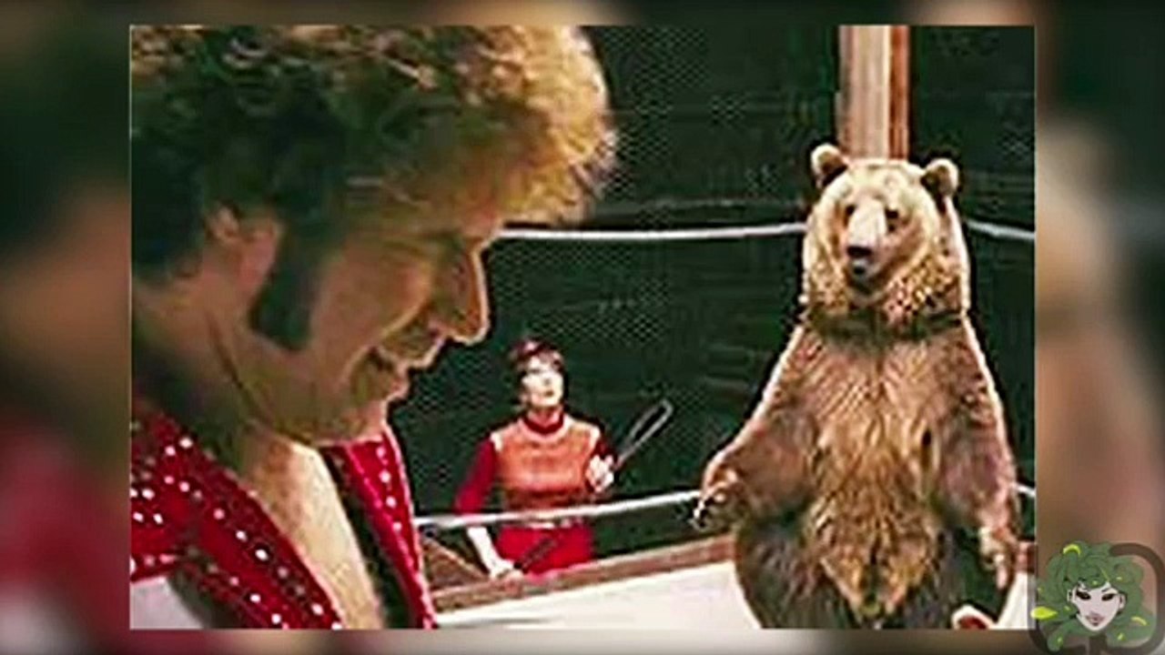 Most Shocking Animals Attack On Humans Caught On Tape