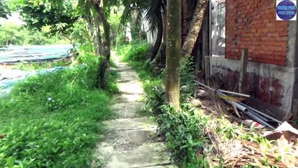 Nghe ùng ục dưới cái hố sau nhà không biết thứ gì bên dưới/monster under the pond