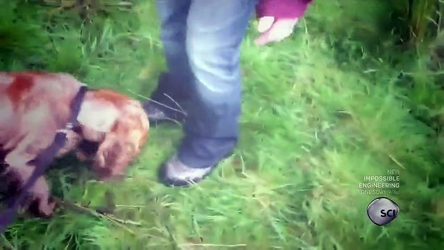 Outrageous Acts Of Science S05 - Ep12 HD Watch