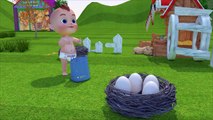 Learn Colors Learn Eggs Baby Boong Animals W Cartoon Baby Nursery Rhymes For Kids