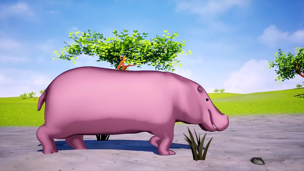 Wild animals name and sound - Kids Learning