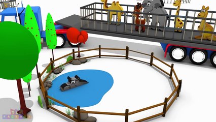 zoo animals for children - zoo animals for children to learn - wild animals at the zoo - ZOO