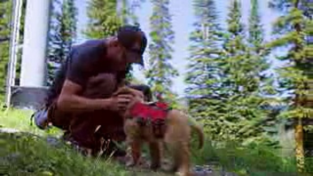 New Avalanche Dog - Arapahoe Basin, Colorado - Summer 2018