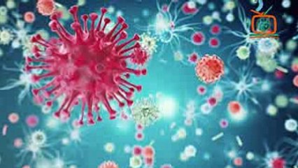 বীর্য বিক্রি করে হতে পারেন কোটিপতি !! Test Tube Baby Process - Business You Can Start From Home