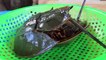 Yummy cooking Horseshoe Crab Salad recipe - Cooking skill