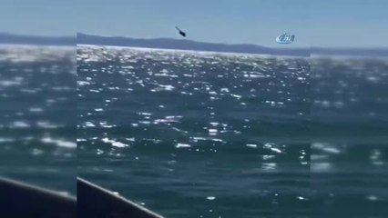 Meksika'da Helikopter Denize Düştü