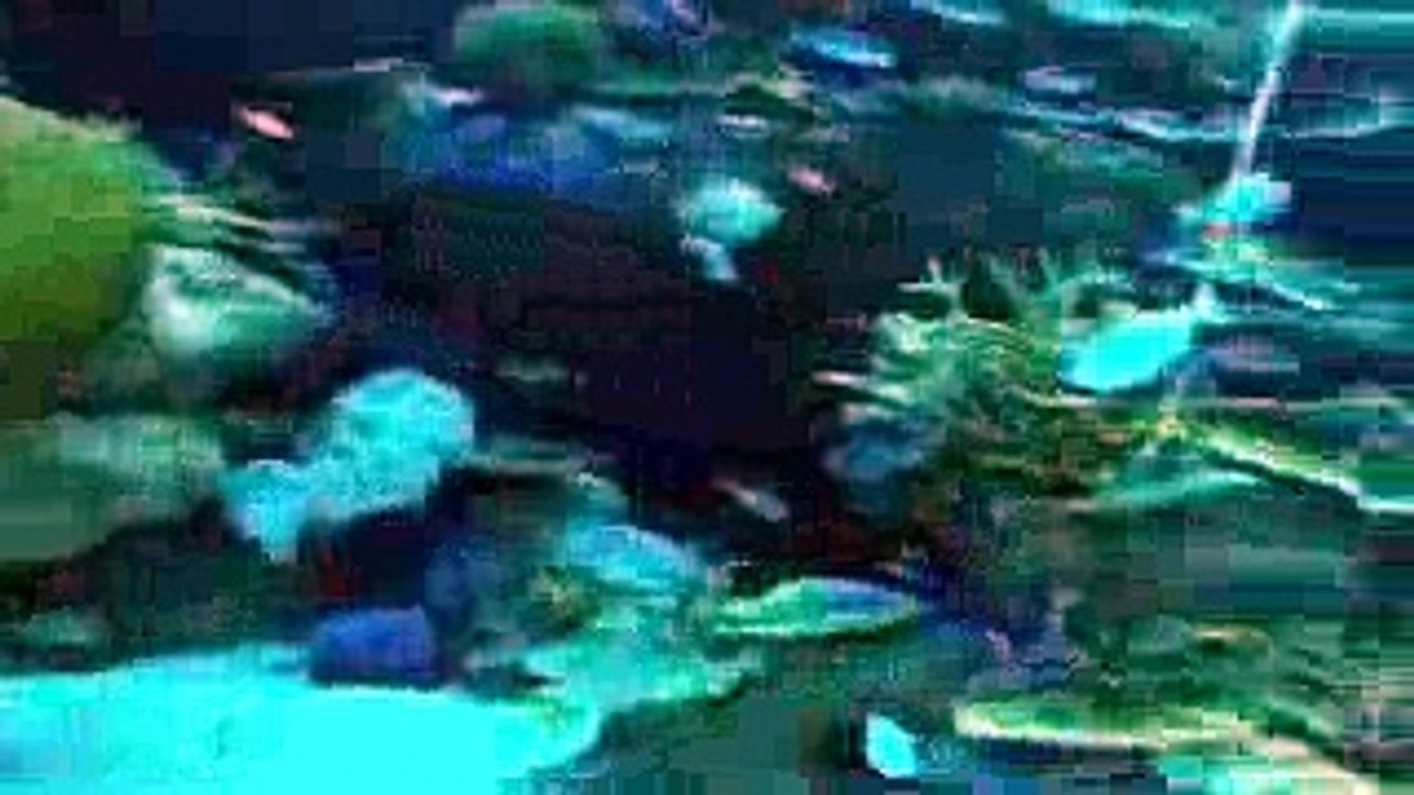 海の中