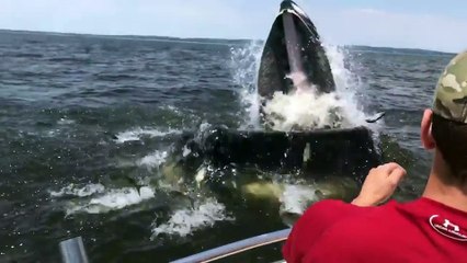 Out fishing...and getting some unexpected results