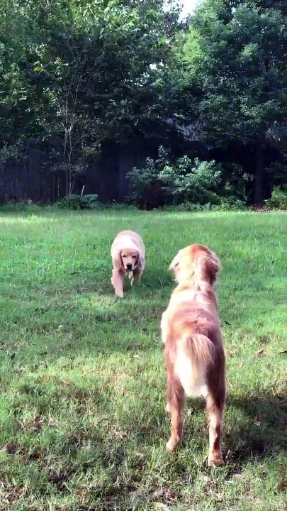 He's trying sneak up on his bro when he’s right in front of him, just wait for the ending
